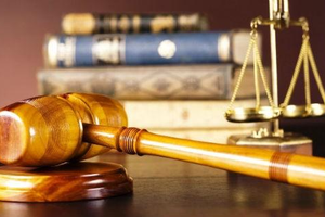 Triển khai thực hiện chính sách trợ giúp pháp lý đối với người cao tuổi