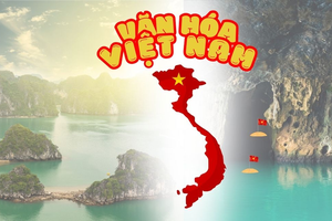 Triển khai thực hiện Nghị quyết của Bộ Chính trị về phát triển văn hóa Việt Nam