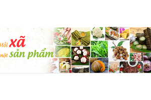 Triển khai thực hiện Chương trình Mỗi xã một sản phẩm