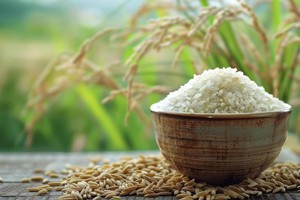 Hỗ trợ hơn 65 tấn gạo cho học sinh Trường Phổ thông Dân tộc nội trú