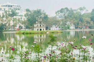 Tăng cường bảo đảm trật tự đô thị, vệ sinh môi trường, trang trí nghệ thuật tại các không gian công cộng và vườn hoa