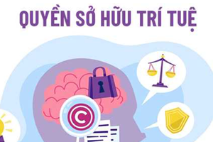 Tăng cường phòng, chống tội phạm và vi phạm pháp luật về xâm phạm sở hữu trí tuệ