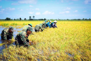 Triển khai Đề án Giáo dục, tuyên truyền nâng cao nhận thức về Quân đội tham gia lao động sản xuất, kết hợp quốc phòng với kinh tế - xã hội giai đoạn 2026 - 2030