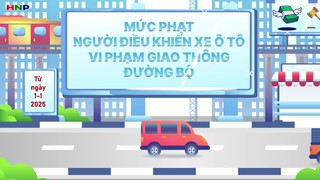 Những lỗi vi phạm giao thông thường gặp và mức phạt ô tô áp dụng từ 1/1/2025