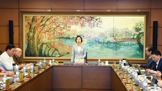 Đoàn đại biểu Quốc hội thành phố Hà Nội thảo luận tại tổ một số dự án Luật