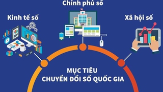 Quận Hà Đông phấn đấu hoàn thành các mục tiêu Chuyển đổi số năm 2024
