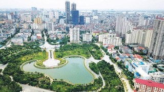 Thông tin chỉ đạo, điều hành của UBND Thành phố, Chủ tịch UBND Thành phố (Ngày 29/11/2024)