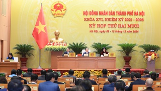 Phấn đấu hoàn thành công tác GPMB dự án đường Vành đai 1 đoạn Hoàng Cầu - Voi Phục trước quý II/2025