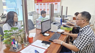 Chi cục Kiểm lâm Hà Nội: Làm tốt cải cách hành chính để bảo vệ rừng
