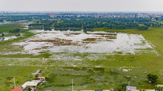 Giao 65.015,68m² đất ở Đông Anh cho Cục Cảnh sát giao thông – Bộ Công an để sử dụng vào mục đích an ninh