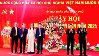 Phó Chủ tịch HĐND Thành phố Phạm Quí Tiên dự Ngày hội Quốc phòng toàn dân tại huyện Hoài Đức