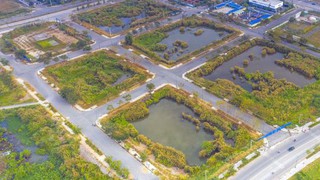 Giao 20.671,1 m2 đất cho UBND huyện Ứng Hòa để thực hiện dự án xây dựng hạ tầng kỹ thuật khu đấu giá quyền sử dụng đất BT02