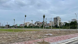 Giao 8.694,2m2 đất cho UBND huyện Phú Xuyên để thực hiện dự án Xây dựng hạ tầng kỹ thuật khu đấu giá quyền sử dụng đất ở tại khu Đồng Vườn