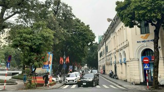 Thành lập Tổ công tác liên ngành để tham mưu triển khai các nội dung, nhiệm vụ thực hiện vùng phát thải thấp