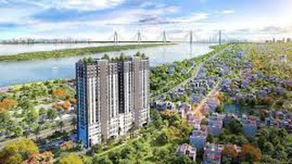 Phê duyệt quy trình nội bộ, quy trình điện tử giải quyết thủ tục hành chính lĩnh vực Kiến trúc, Quy hoạch đô thị và nông thôn