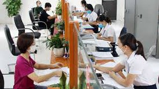 Phê duyệt quy trình nội bộ, quy trình điện tử giải quyết thủ tục hành chính lĩnh vực Việc làm