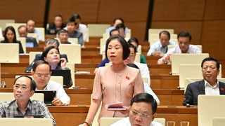 Đại biểu Quốc hội Phạm Thị Thanh Mai: Tình trạng gian lận, trốn thuế đáng báo động
