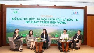 Nông nghiệp Hà Nội: Hợp tác và Đầu tư để phát triển bền vững