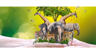 Nâng cao nhận thức cộng đồng về quản lý, bảo vệ động vật hoang dã, bảo vệ nguồn lợi thủy sản