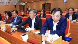 Hà Nội quy định mức chi mới cho bảo vệ rừng