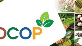 Đảm bảo cân đối cung - cầu hàng hóa và tổ chức hoạt động liên kết vùng