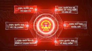 Đảm bảo không yêu cầu cá nhân, tổ chức cung cấp lại các thông tin, giấy tờ đã có trong các Cơ sở dữ liệu quốc gia