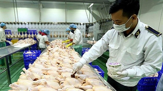 Thành lập Đoàn kiểm tra liên ngành kiểm tra công tác quản lý giết mổ, vận chuyển, kinh doanh động vật và sản phẩm động vật
