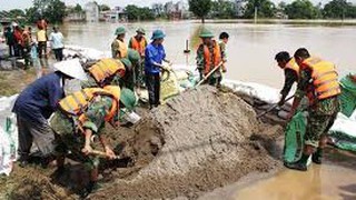 Ủy quyền cho Giám đốc Sở Nông nghiệp và Môi trường  thực hiện nhiệm vụ giải quyết TTHC lĩnh vực Quản lý đê điều và Phòng, chống thiên tai