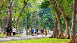 Công viên Thống Nhất - Mở không gian xanh, yên bình giữa lòng phố thị
