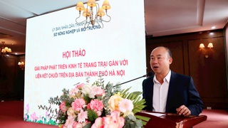Phát triển kinh tế trang trại gắn với liên kết chuỗi trên địa bàn Thành phố