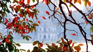 Sửa đổi một số quy định về mô hình quản lý khu du lịch cấp Thành phố