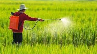 Phê duyệt phương án tái cấu trúc thủ tục hành chính lĩnh vực Trồng trọt, Bảo vệ thực vật và Khoa học công nghệ