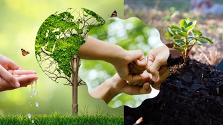 Triển khai thực hiện các giải pháp khắc phục điểm nghẽn về ô nhiễm môi trường