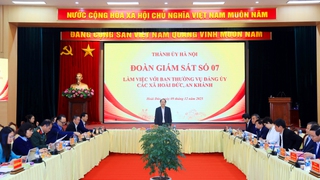 Giám sát công tác lãnh đạo, chỉ đạo, tổ chức thực hiện một số chuyên đề trọng tâm, cấp bách tại xã Hoài Đức, An Khánh