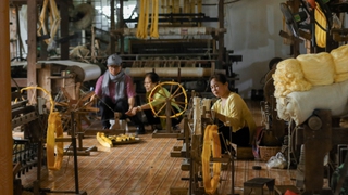 Cho phép Hiệp hội làng nghề Dệt xã Phùng Xá sử dụng địa danh “Phùng Xá-Mỹ Đức-Hà Nội” để đăng ký nhãn hiệu tập thể “Dệt Phùng Xá”