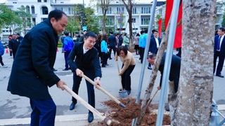 Tây Hồ phát động phong trào Tết trồng cây Xuân Ất Tỵ 2025