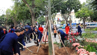 Chủ tịch HĐND Thành phố Nguyễn Ngọc Tuấn dự Tết trồng cây tại quận Hoàn Kiếm