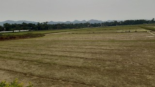 Giao 11.342,1m2 đất cho UBND huyện Đông Anh để thực hiện dự án xây dựng hạ tầng kỹ thuật khu đấu giá quyền sử dụng đất thôn Vạn Lộc 2