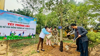 Huyện Thanh Trì: Duy trì, nhân rộng các đoạn đường, tuyến phố xanh, sạch, đẹp