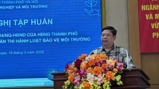 Nhiều biện pháp sẽ được áp dụng trong vùng phát thải thấp