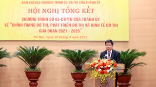Phát triển đô thị theo hướng văn hiến, văn minh, hiện đại 