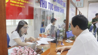 Công bố đường dây nóng tiếp nhận phản ánh trong việc chậm trễ xử lý các hồ sơ 