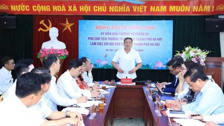 Phát huy vai trò Hội Chữ thập đỏ trong công tác an sinh xã hội