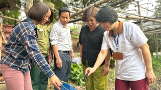 Thông tin tình hình dịch bệnh trên địa bàn Thành phố từ ngày 4/4 đến 11/4