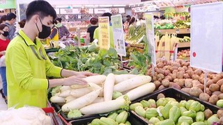 Quy định chức năng, nhiệm vụ, quyền hạn và cơ cấu tổ chức của Chi cục An toàn vệ sinh thực phẩm Hà Nội