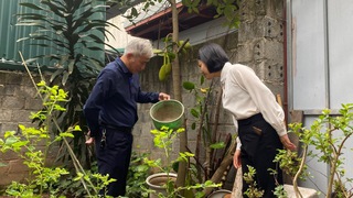 Thông tin tình hình dịch bệnh trên địa bàn Thành phố từ ngày 11/4 đến 18/4