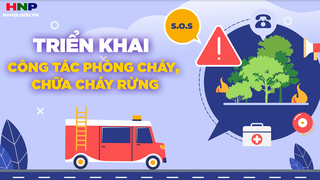 Hà Nội triển khai thực hiện công tác bảo vệ rừng và phòng chống cháy rừng