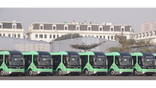 Xem xét lộ trình chuyển đổi và phát triển hệ thống xe buýt sử dụng điện