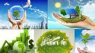 Thành lập Ban Tổ chức Chương trình truyền thông về bảo vệ môi trường năm 2025