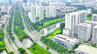 Đẩy nhanh tiến độ xây dựng, hoàn thiện cơ sở dữ liệu quốc gia về đất đai